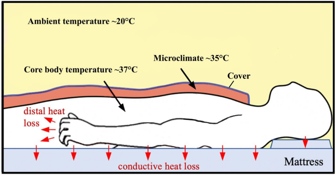 body-heat-transfer-to-ground-illustration