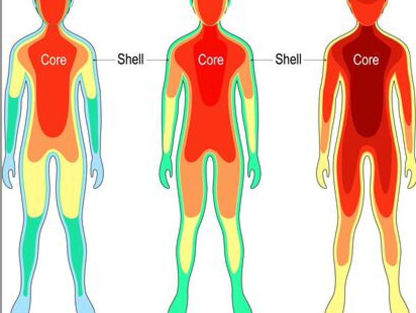 human body heat distribution cold weather illustration