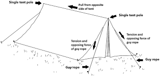 Guyline Force Distribution